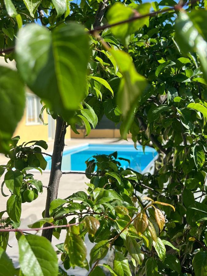 Casa Vacanze Mare Fuori Capoterra Exteriér fotografie